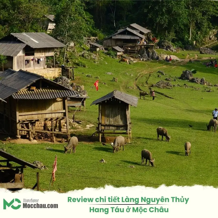 Review chi tiết Làng Nguyên Thủy Hang Táu ở Mộc Châu