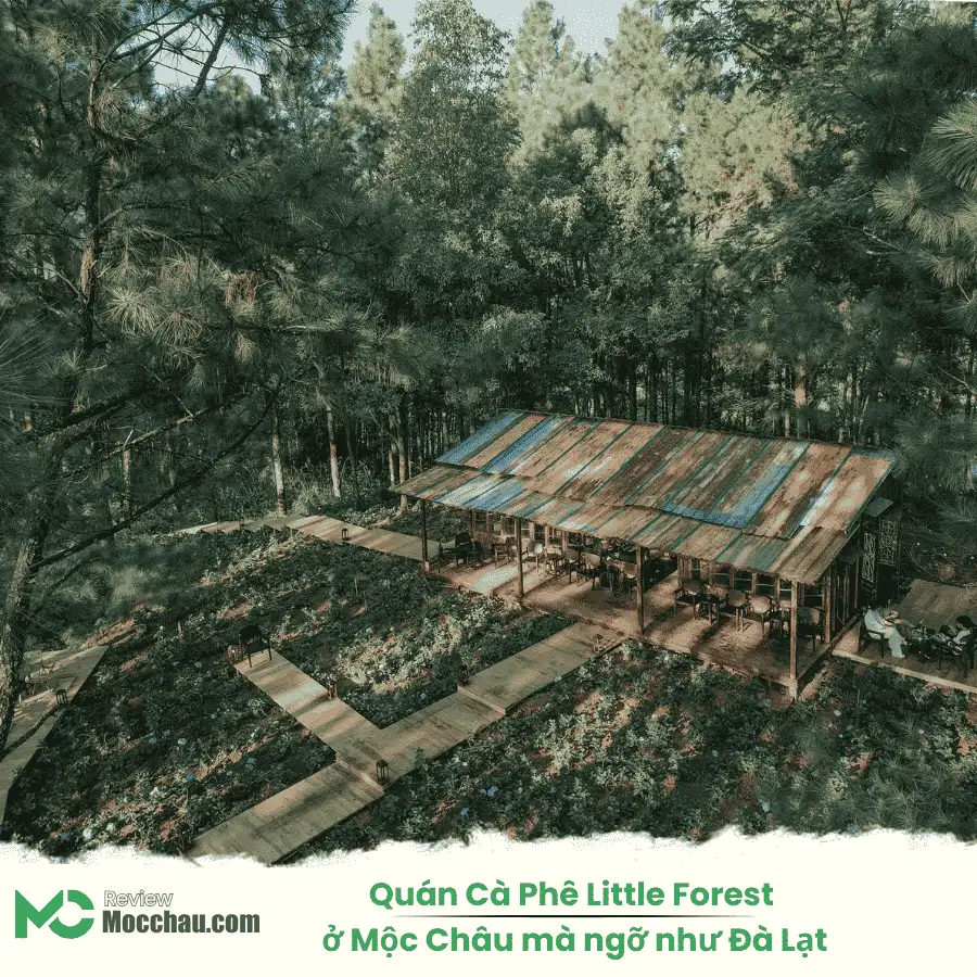 Quán Cà Phê Little Forest ở Mộc Châu mà ngỡ như Đà Lạt