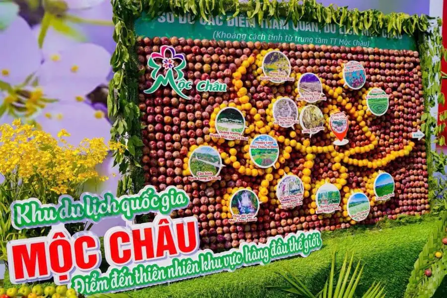 Ngày Hội Hái Quả Mộc Châu 2025 Lễ Hội Đậm Chất Tây Bắc
