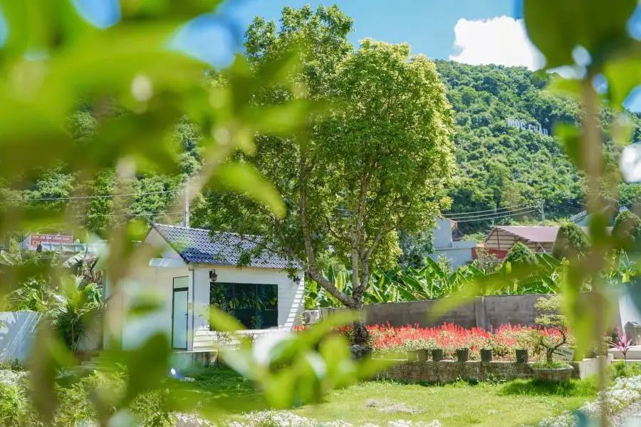 Mộc Châu House Homestay Review Chi Tiết Từ A đến Z