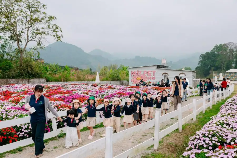Review Mật Pet Farm Mộc Châu Thiên Đường Thú Cưng Giữa Cao Nguyên Xanh